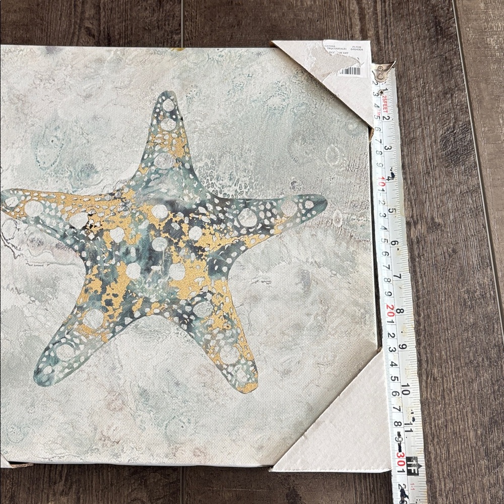 Starfish picture Canvas Wall Art - Picture 6 of 9
